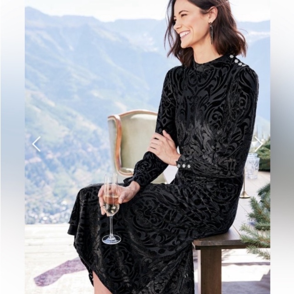 Soft Surroundings NWT Hadley Velvet Dress 2 Burnout Brocade Party Modest Dress
